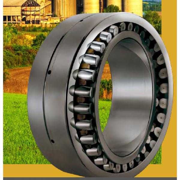 sg TTSV265 Full complement Tapered roller Thrust bearing #2 image